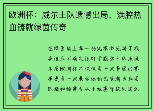 欧洲杯：威尔士队遗憾出局，满腔热血铸就绿茵传奇